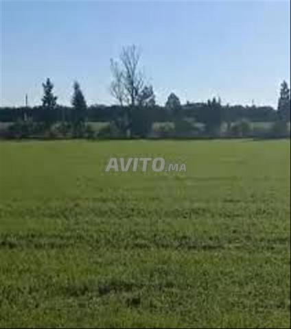 Terrains titrés à Azemmour — Pour habitation et investissement - 2