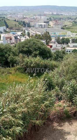 قطعة أرضية محفظة - 2