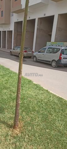 داسيا دوكر 2020 يدوية الدار البيضاء