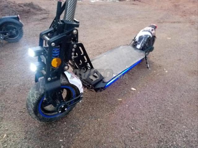 Bison 800w - 2