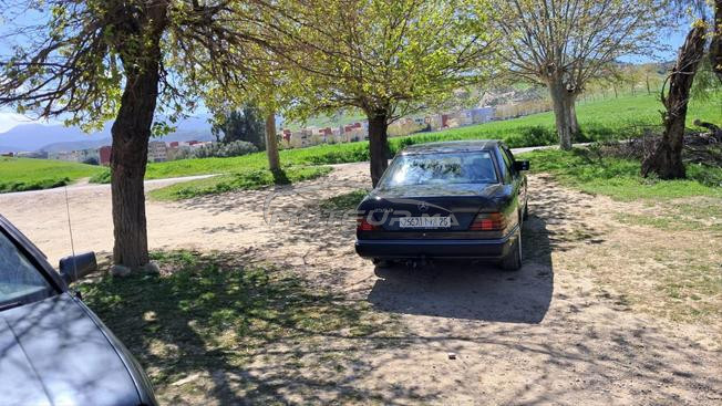 Mercedes 250 MOTOR DARJA