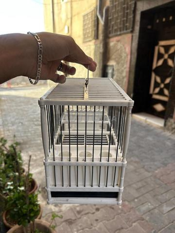 قفص طيور أنيق وعالي الجودة - 2