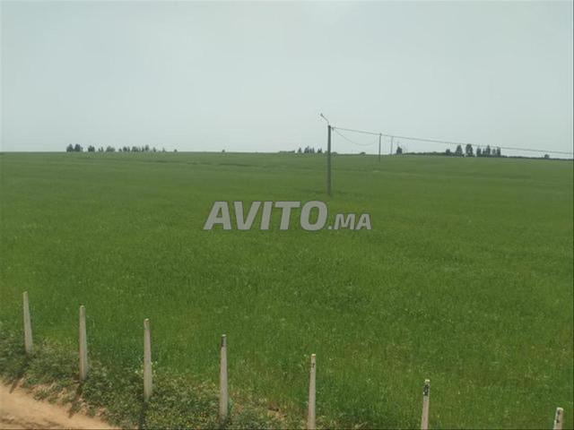 Vente de terrains & fermes titrés — Bir Jdid - 2