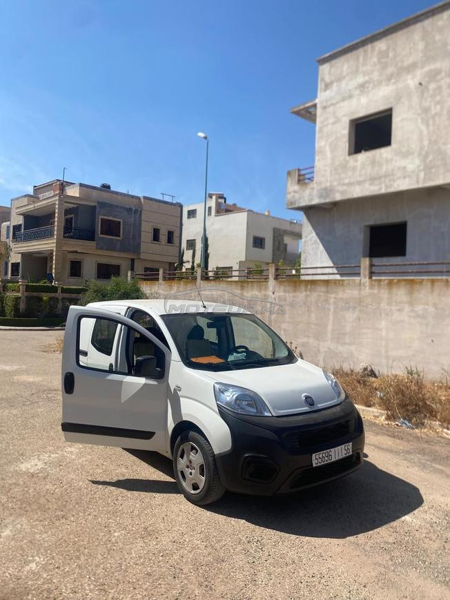 fiat fiolino à settat