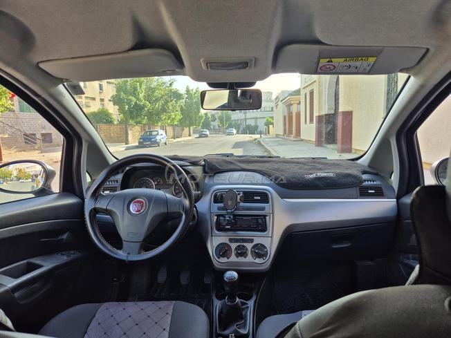 fiat punto 