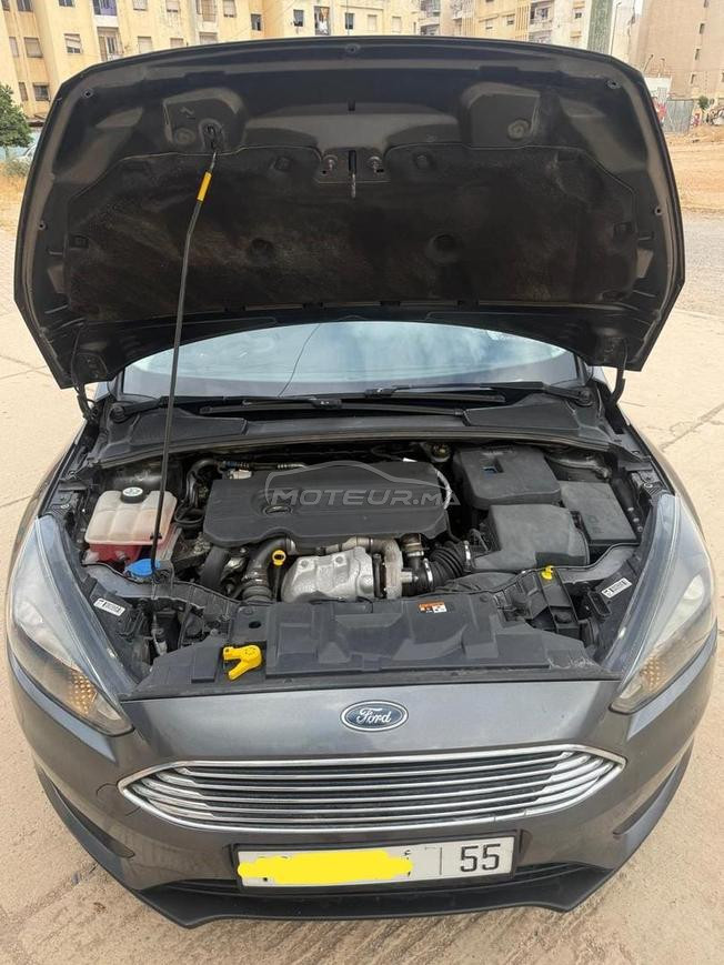 Ford Focus trand plus