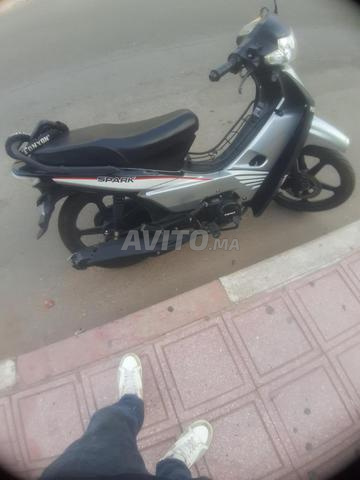 Phoenix Spark 49 cc - 2