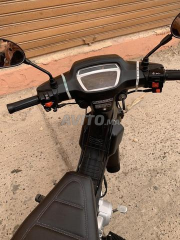 بيوكرى تدوس - 2