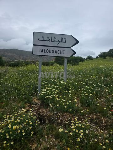بقعة أرضية للبيع بدوار تالوغاشت نواحي أكادير - 2