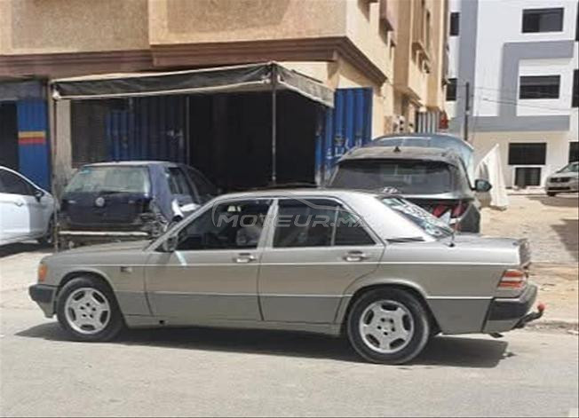عن السبع القنيطرة