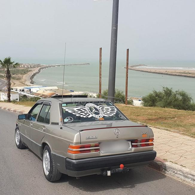 عن السبع القنيطرة