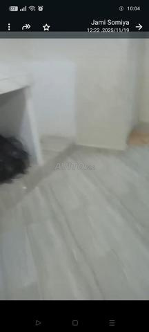 Appartement en bas, 50 m², meublé, avec une chambre, salon, douche et WC intérieur et extérieur. - 2