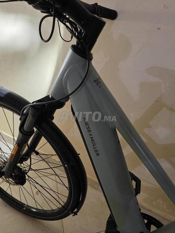 Riese Muller 45km/h - 2