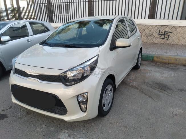 الدر البيضاء  عين سبع