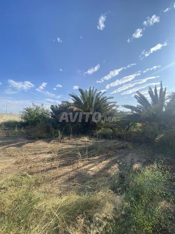 Terrain à vendre Skhirat R4 Superficie 18000 m2