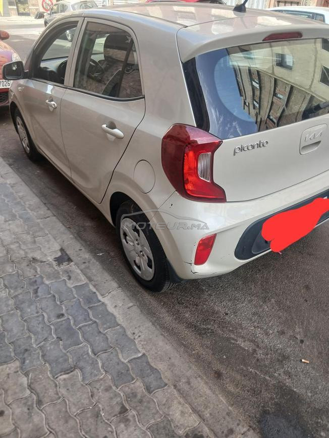 الدر البيضاء  عين سبع