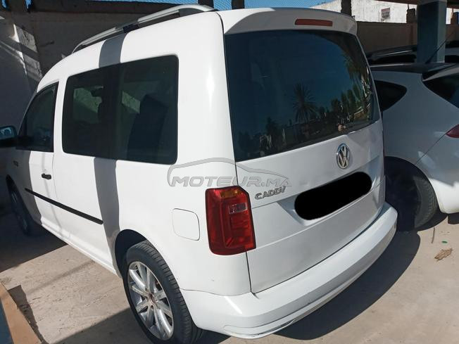 golf kaddy