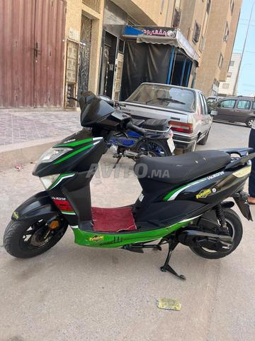 فيرونا جابلي - 2