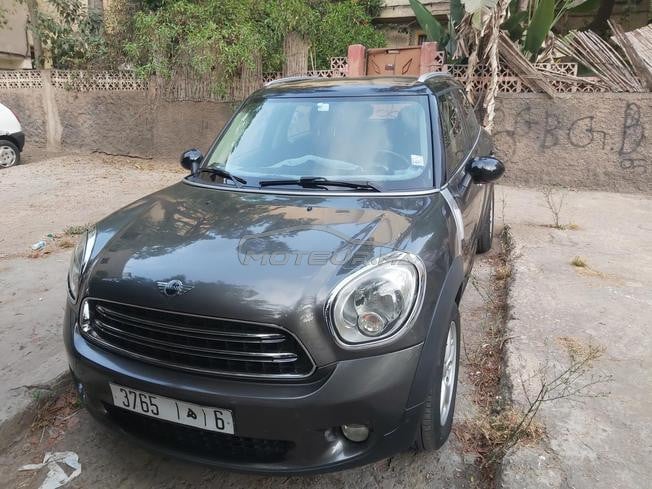 Mini 2013