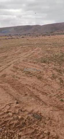 10 hectares à vendre à Guelmim Ibaïnou - 2
