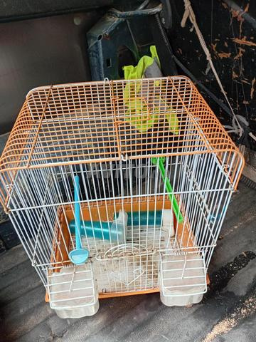 Saut à vendre prix raisonnable - 2