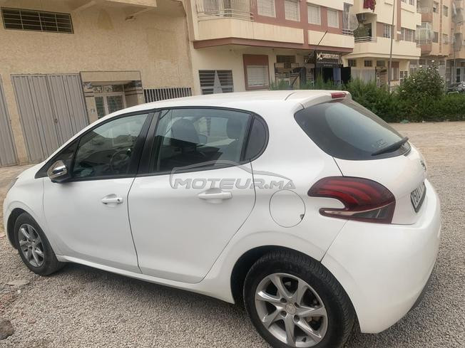   3amra208