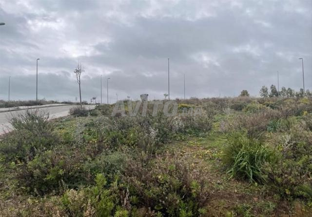 أرض للبيع ابن بطوطة، طنجة - 2