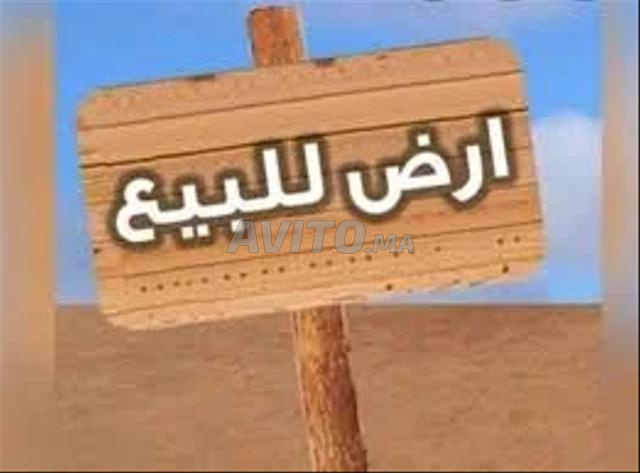 بقعة 350 متر محفظة بحي الزهور بجانب الطريق