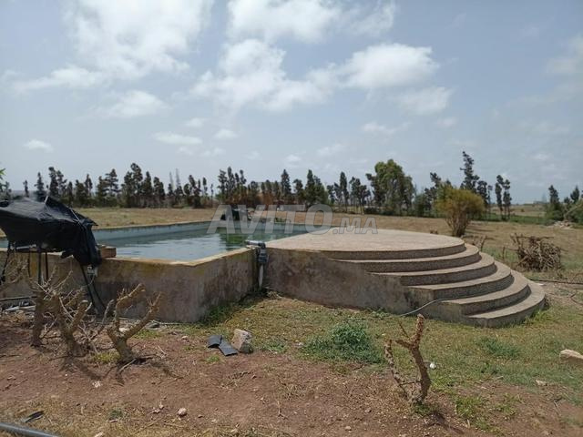 أرض زراعية للبيع - 2