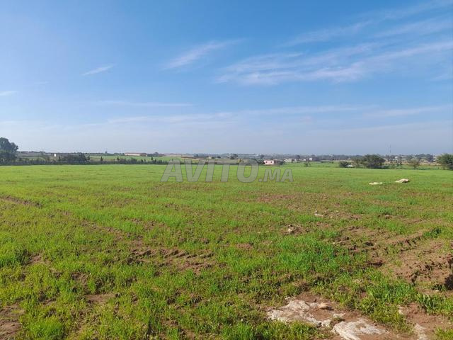 Fermes à vendre - 2