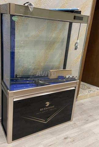 أكواريوم RS 240 لتر مع خزانة - 2