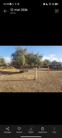 أرض عين كارما 600م - 2