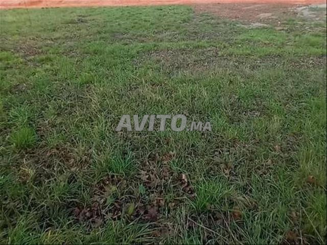 بقعة أرضية بمدخل أولاد فرج