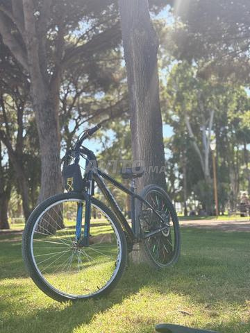 Vélo