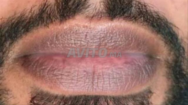 طنجة تطوان أصيل توصيل جميع المدن المغربية