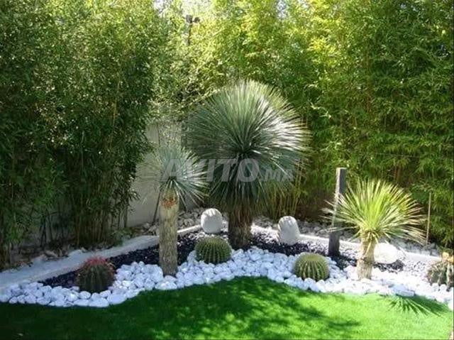 بستاني مراكش - 2