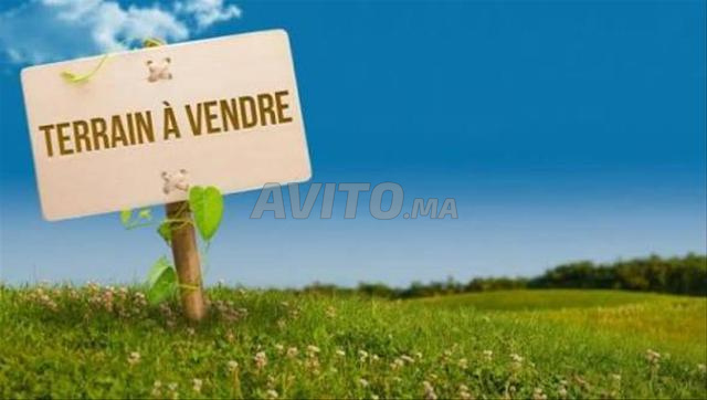 Terrain 1000m2 à vendre à Kenitra