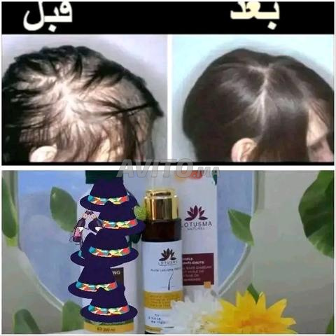 جميع المدن - 2