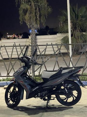 Sanya Fice 2024 - 2