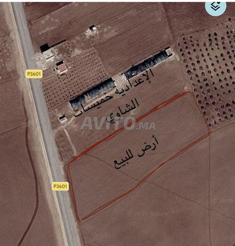 Khemisat Chaouia - 2