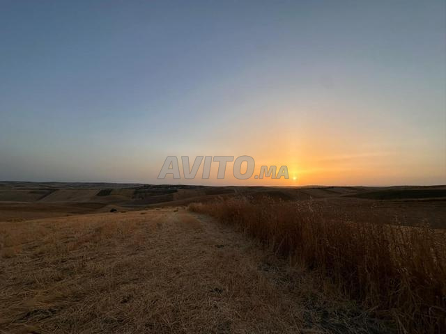 36 hectares agricoles titrés à vendre - 2
