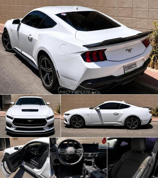 Ford Mustang EcoBoost 2024