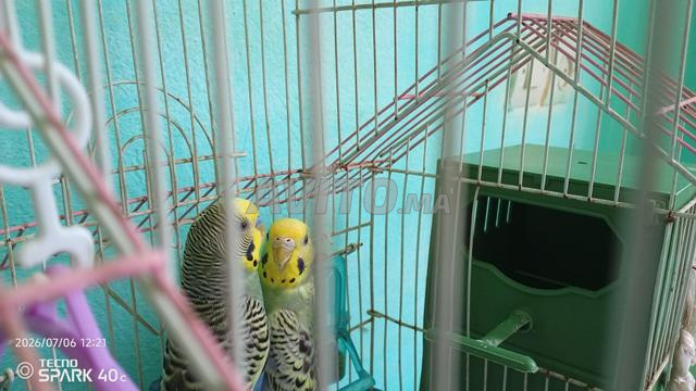 مكناس أو الحاجب والنواحي