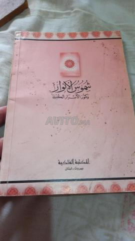 Paire de livres anciens et très rares - 2