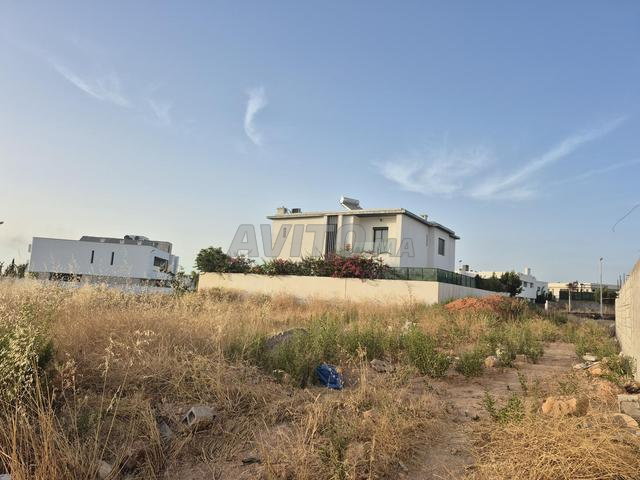 Vente d'un lot de villa titré - 2