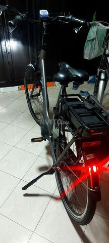 Gazelle c301 orange - 2