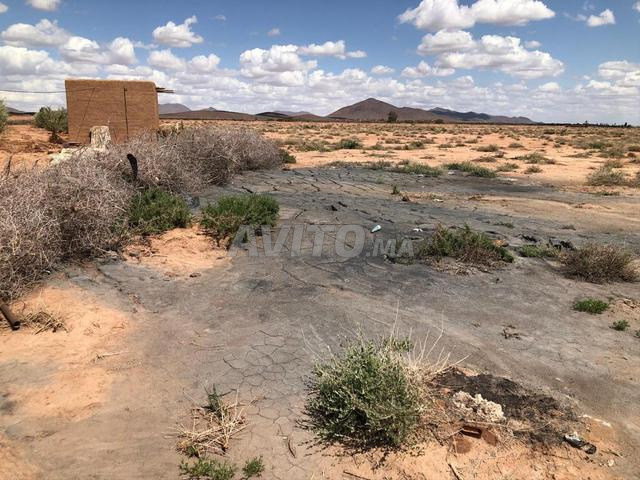 💰 Investissement rare à 19 km de Marrakech - 2