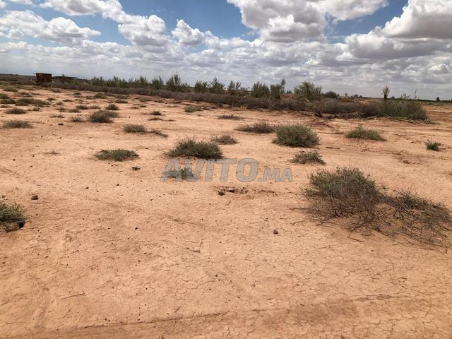 12 958 m² à 19 km de Marrakech.. Belle opportunité