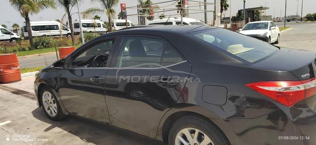corolla mliha