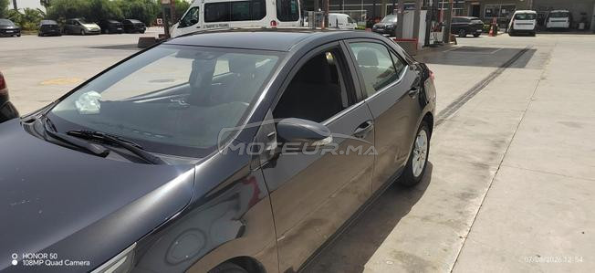 corolla mliha
